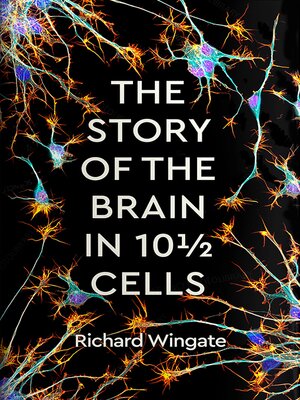 cover image of The Story of the Brain in 10½ Cells